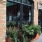 Local Shops